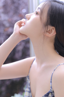 完美的妻子